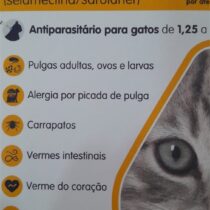 REVOLUTION PLUS 0.25ML - ATE 2,5KG PIPETA-1119163861